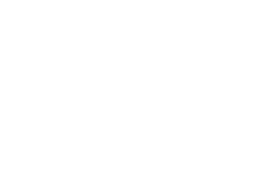logoSolaris